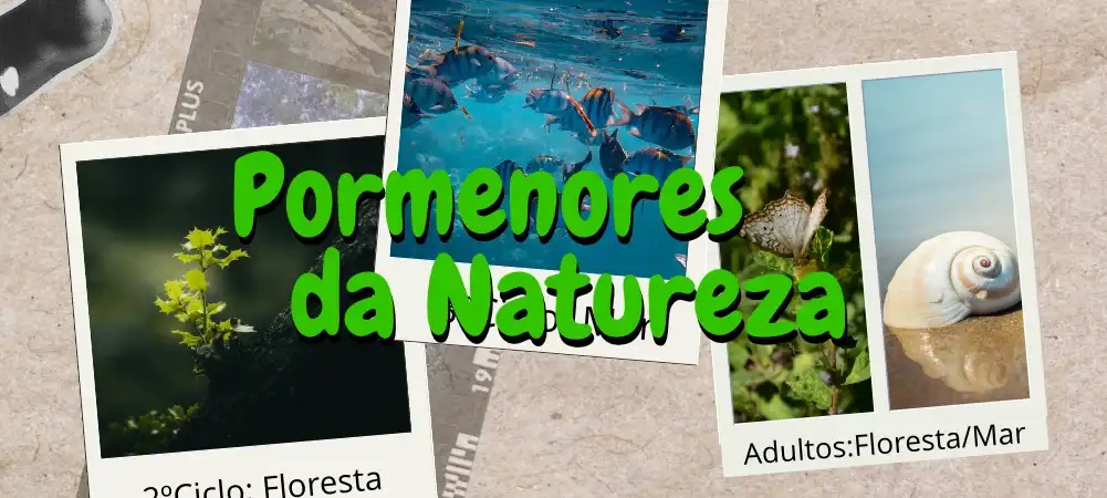 Concurso de Fotografia 2026 | “PORMENORES DA NATUREZA”